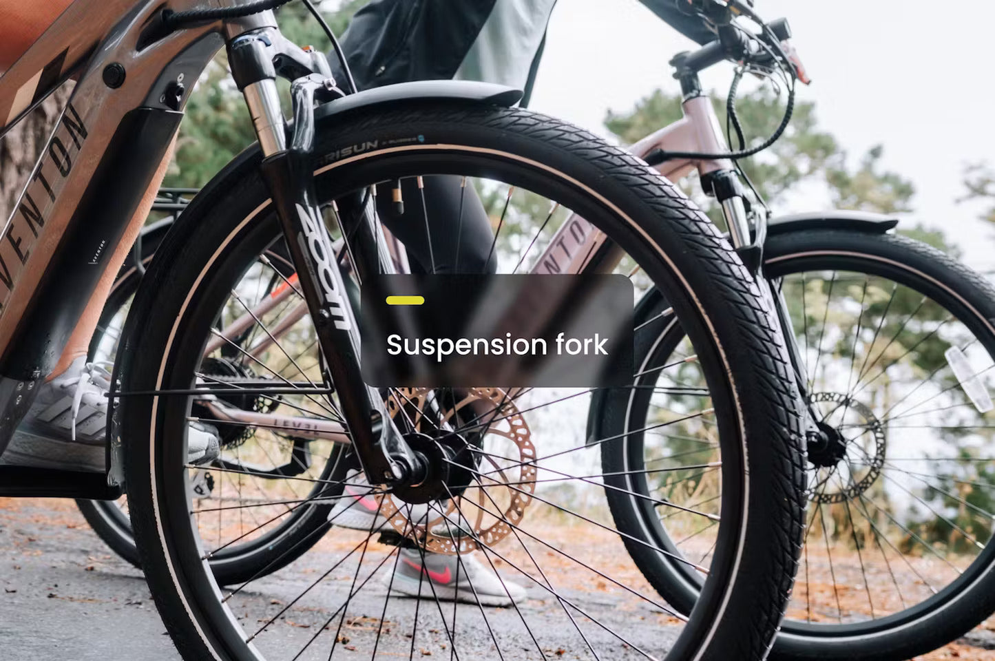Level 2 Ebike